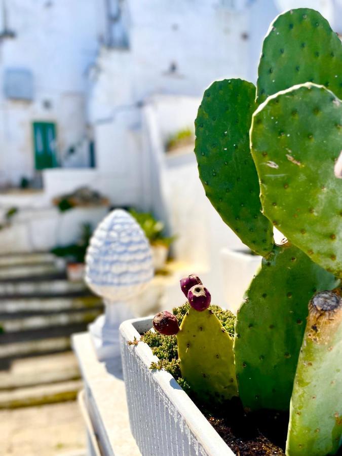 Belle Home Ostuni Vasca Vista Mare Dış mekan fotoğraf